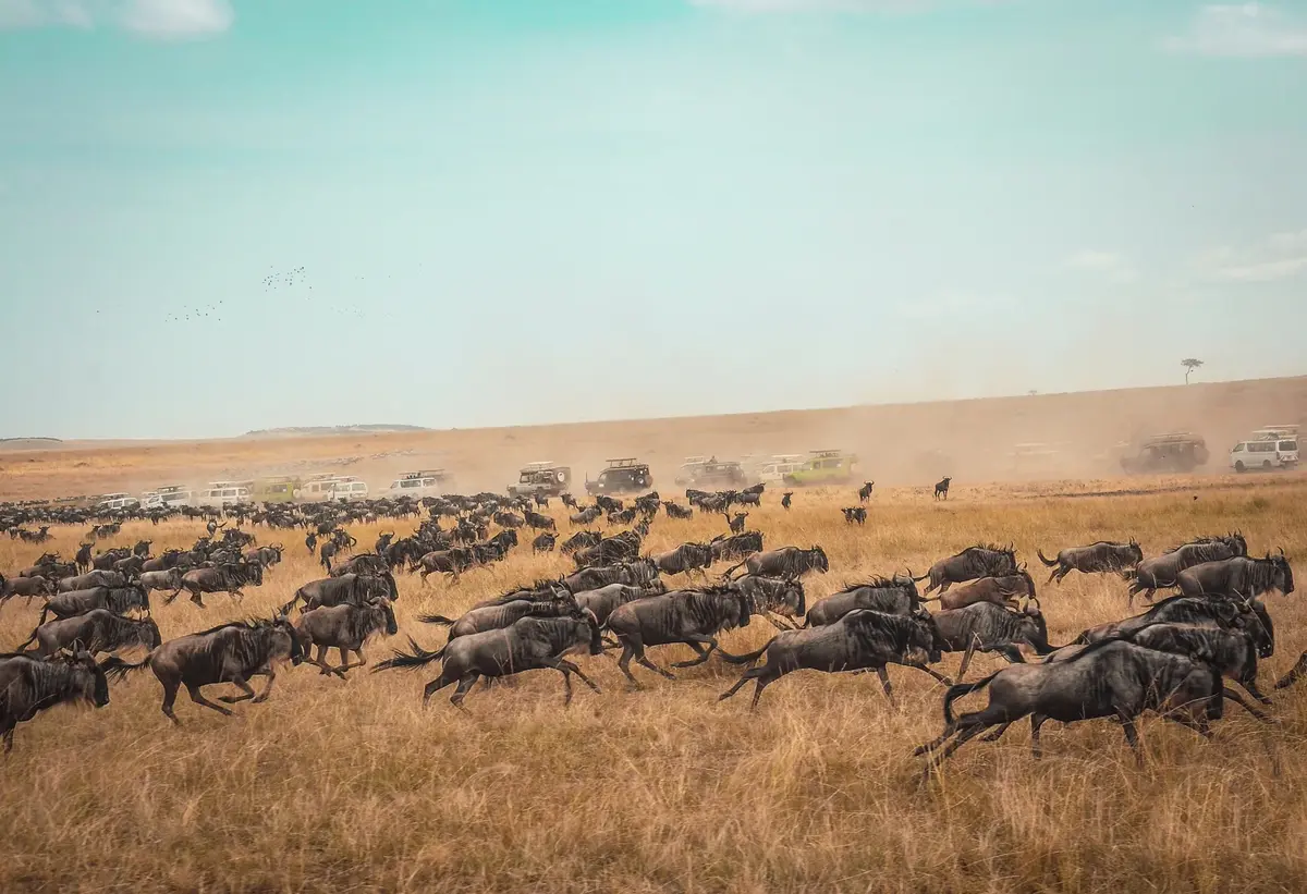 Scenery of East Africa.